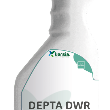 DEPTA DWR – Sgrassante sanificante senza risciacquo